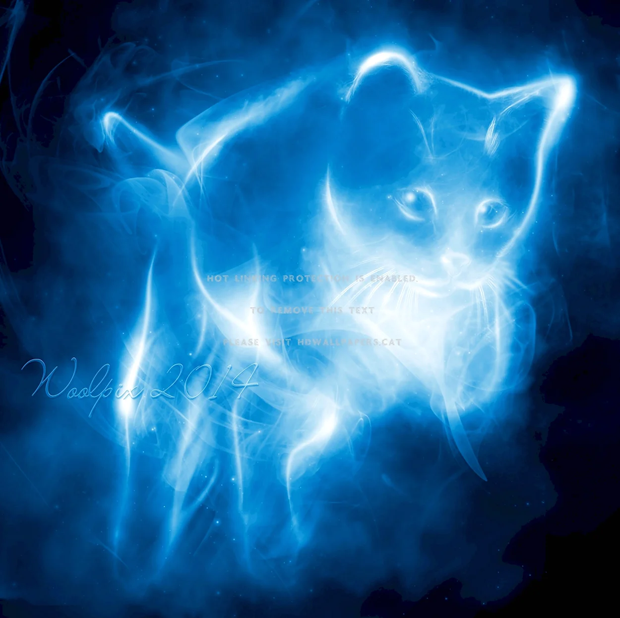 Патронус кошка Гарри Поттер. Красивое животное