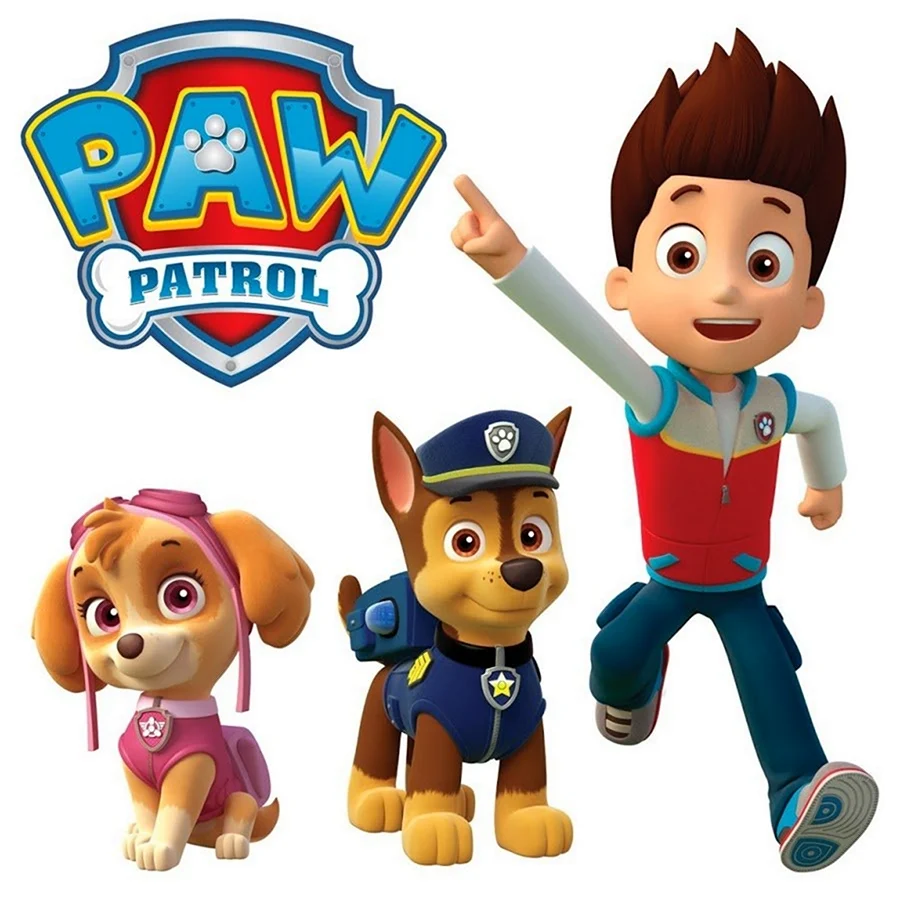Paw Patrol Райдер. Картинка из мультфильма