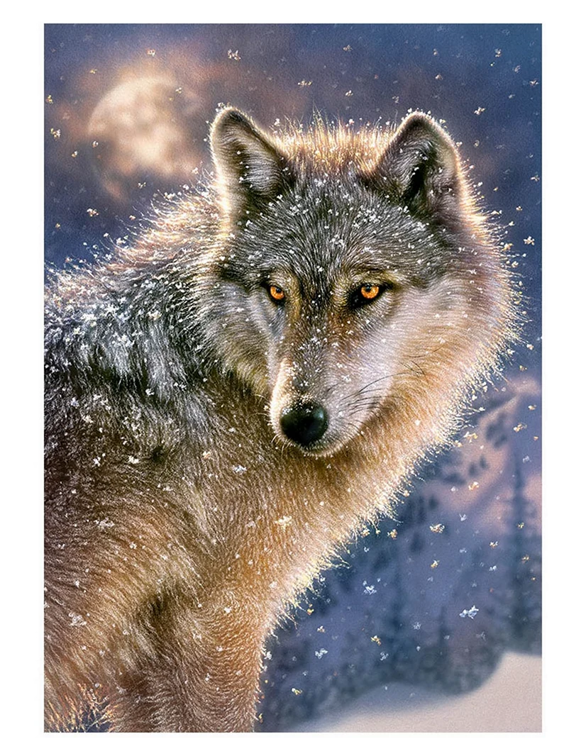 Пазл Castorland волк b-52431. Красивое животное