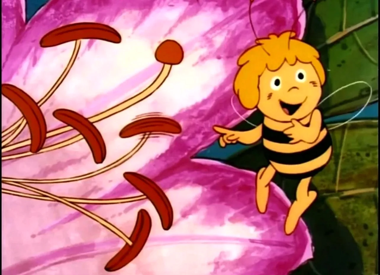 Пчёлка Майя 1975 Вилли. Картинка из мультфильма