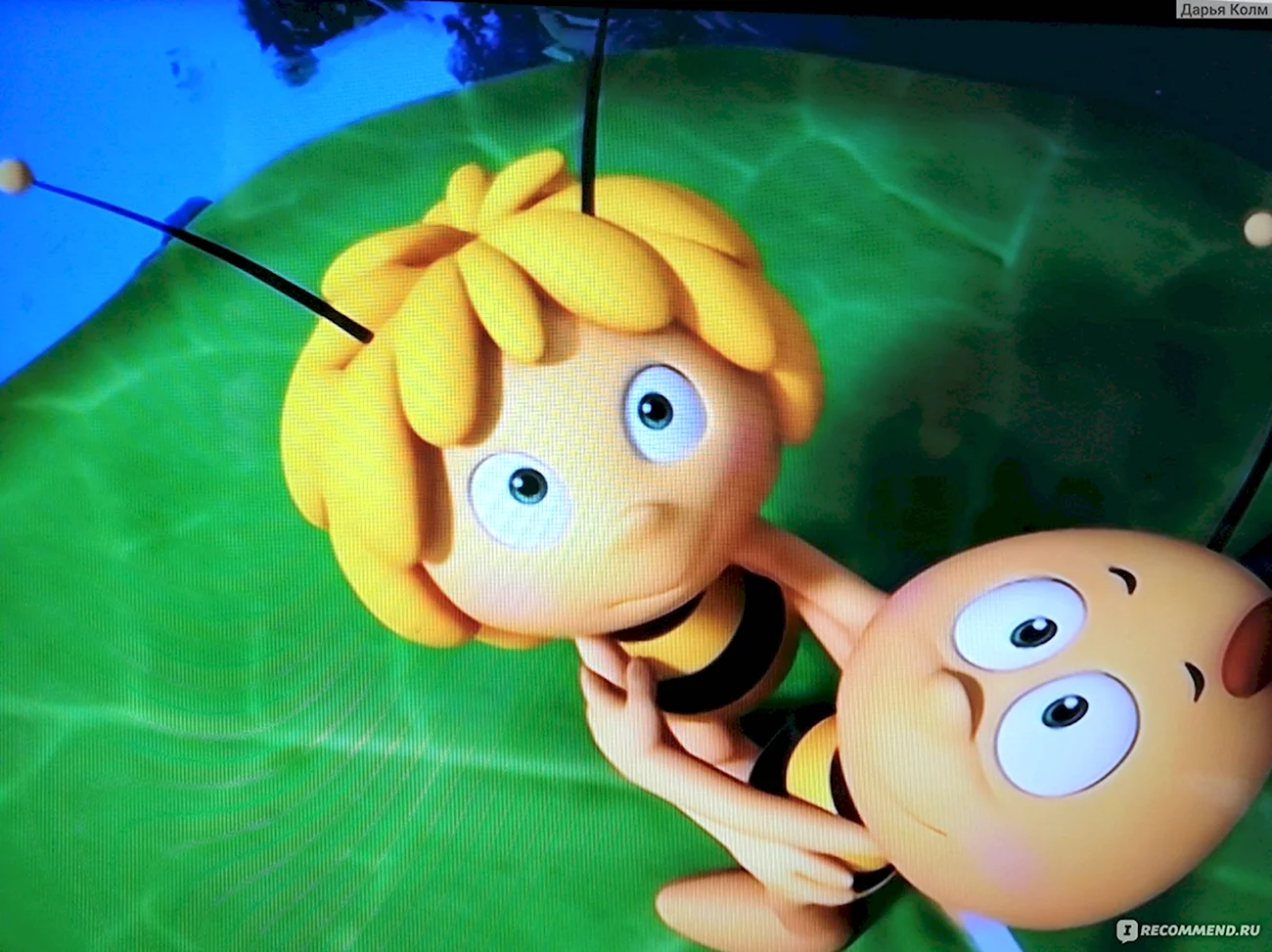 Пчелка Майя Карусель. Картинка из мультфильма