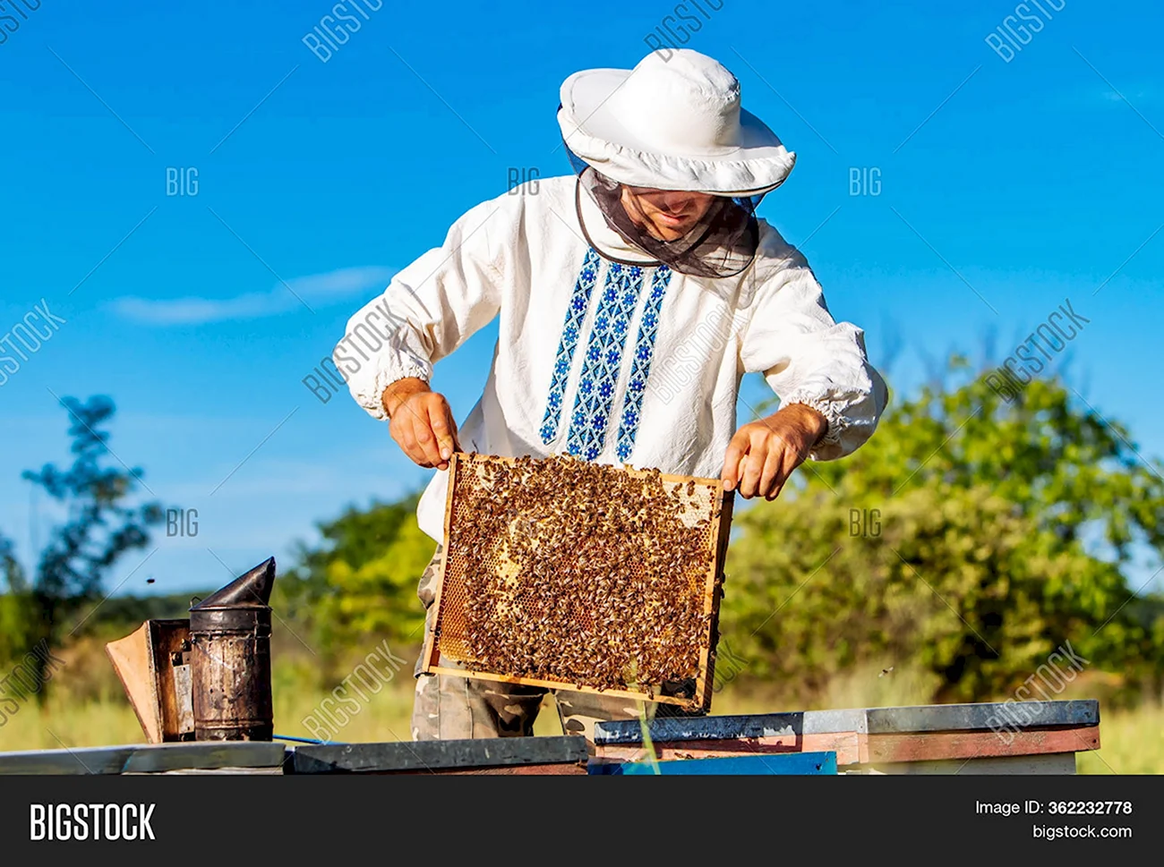 Пчеловоды жмут руки. Поздравление