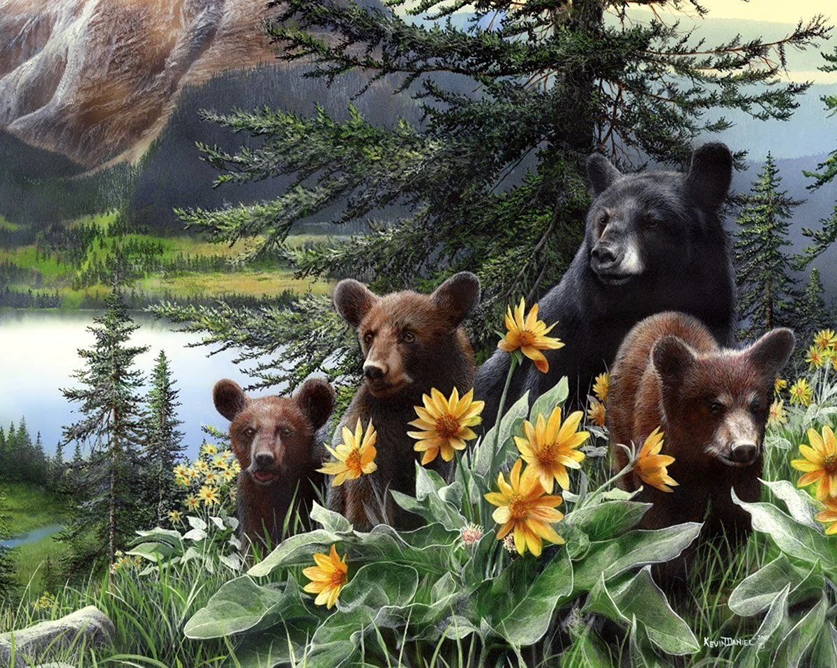 Пейзаж с медведями. Красивое животное