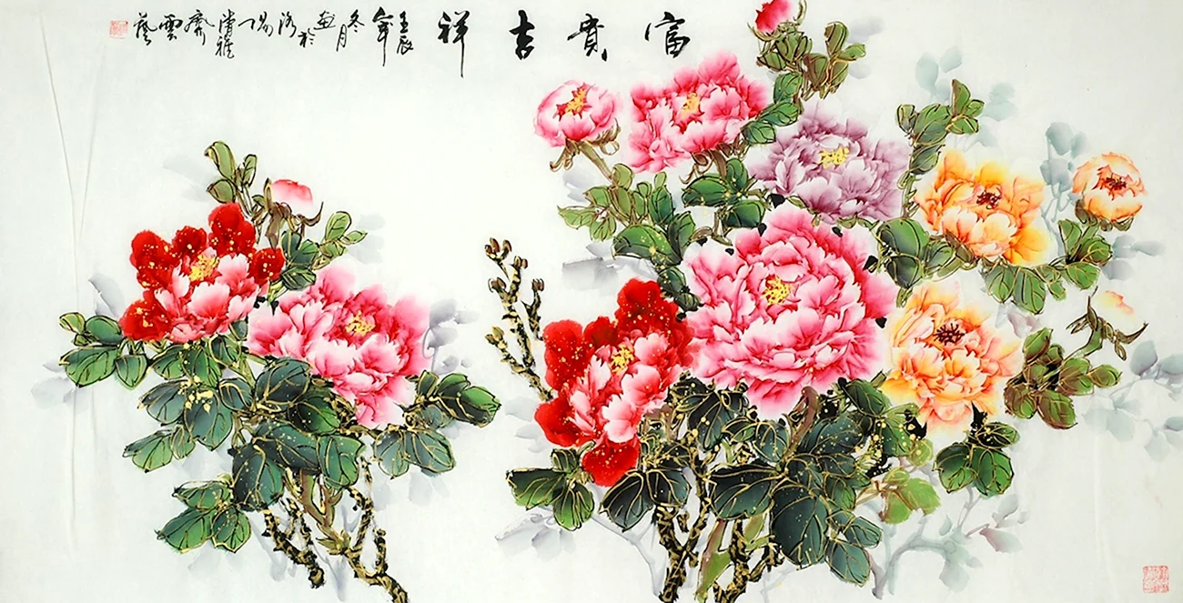 Peony Flower Chinese. Красивая картинка
