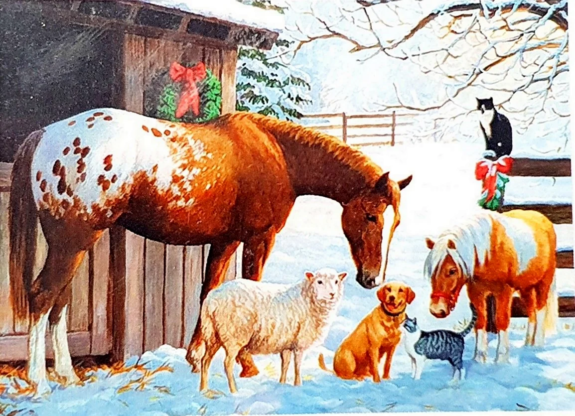 Персис Клейтон Вейерс лошади. Красивое животное