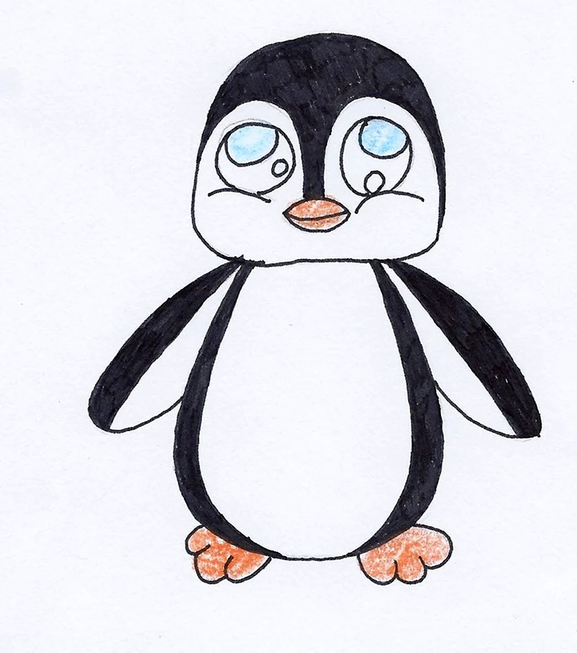Пингвин рисунок. Для срисовки