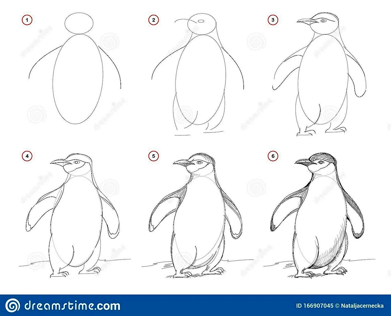 Пингвин сбоку рисунок. Для срисовки