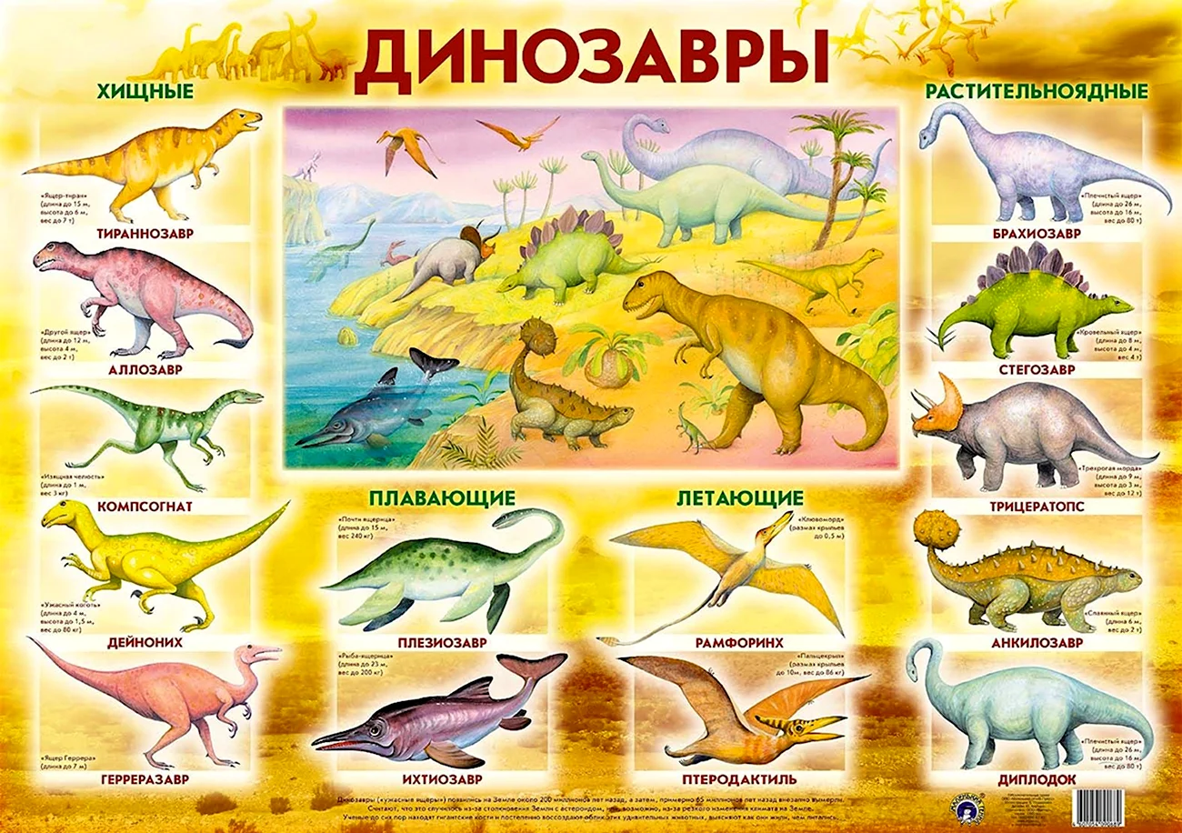 Плакат динозавры. Картинка