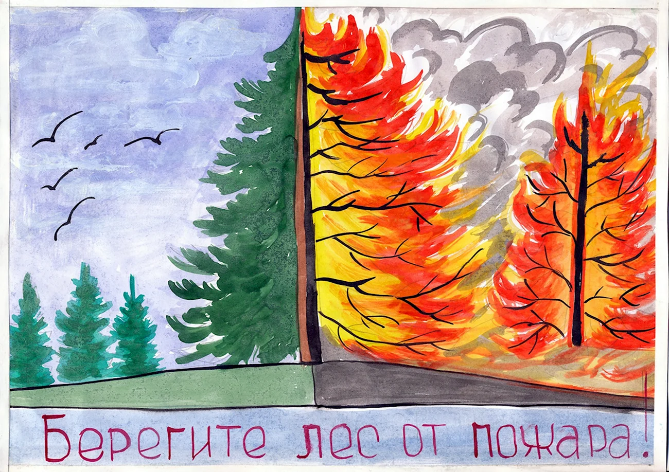 Плакат на тему Лесные пожары. Картинка
