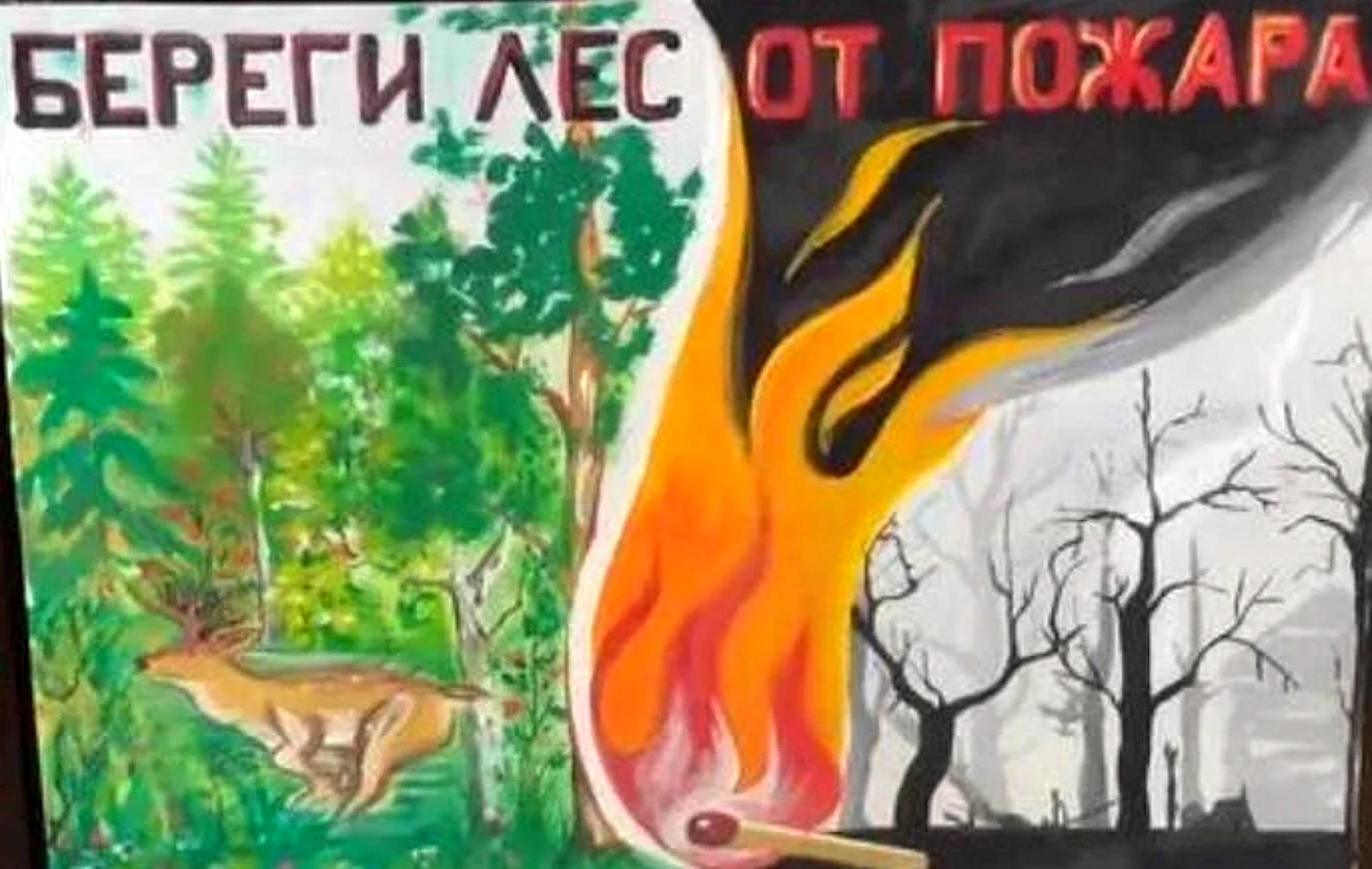 Плакат Защитим лес от пожара. Картинка