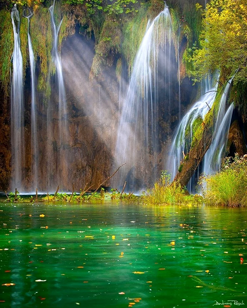Плитвицкие озёра водопады. Красивая картинка