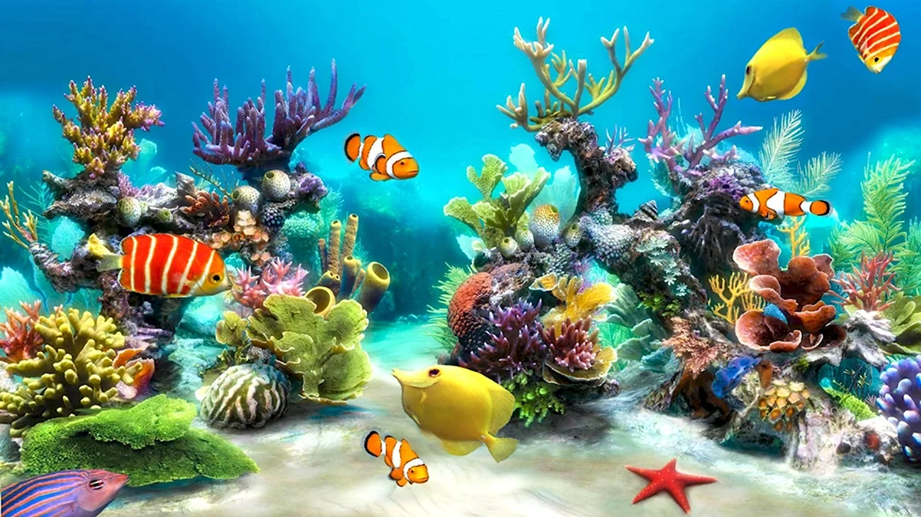Подводный мир аквариума. Красивая картинка