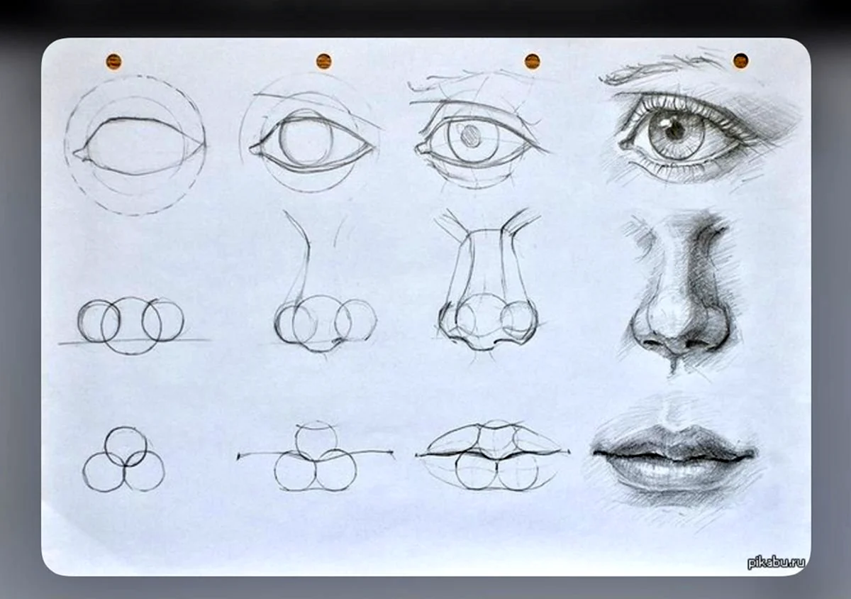 Поэтапное рисование частей лица. Для срисовки