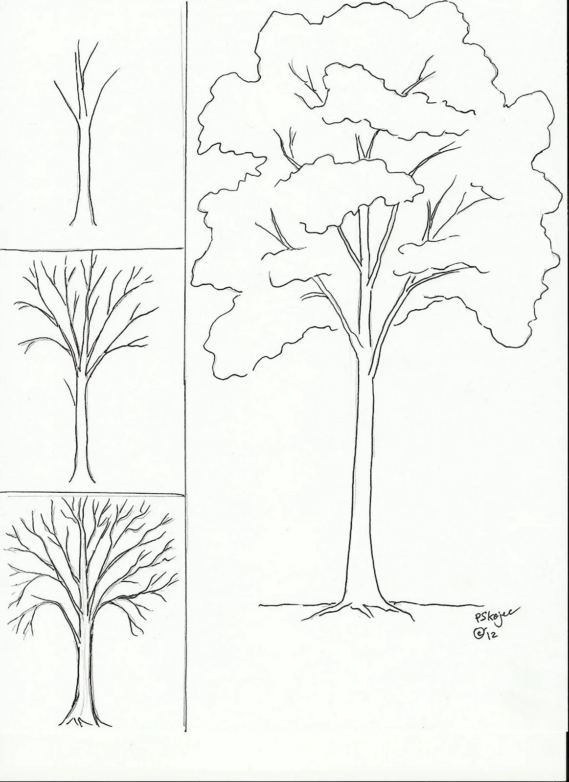Поэтапное рисование дерева. Для срисовки