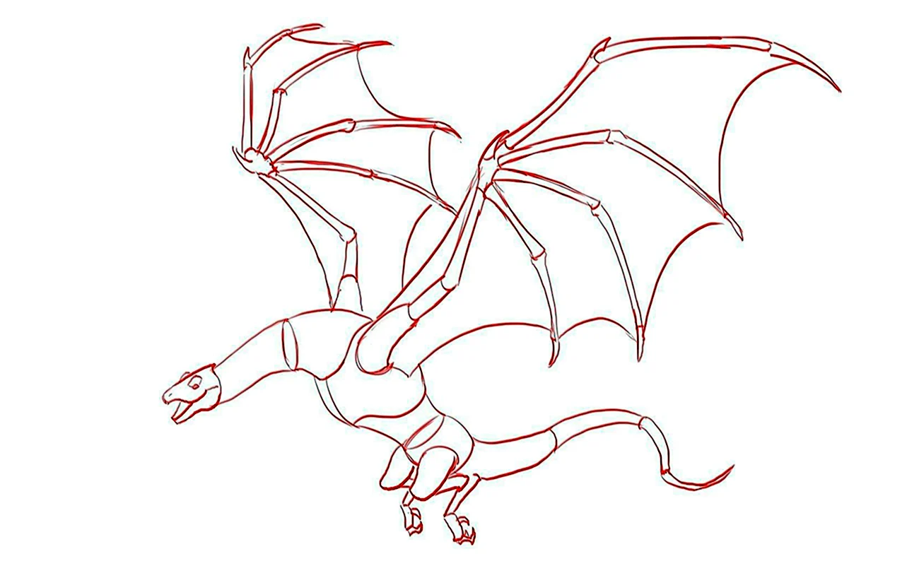 Поэтапное рисование дракона на весь лист. Для срисовки