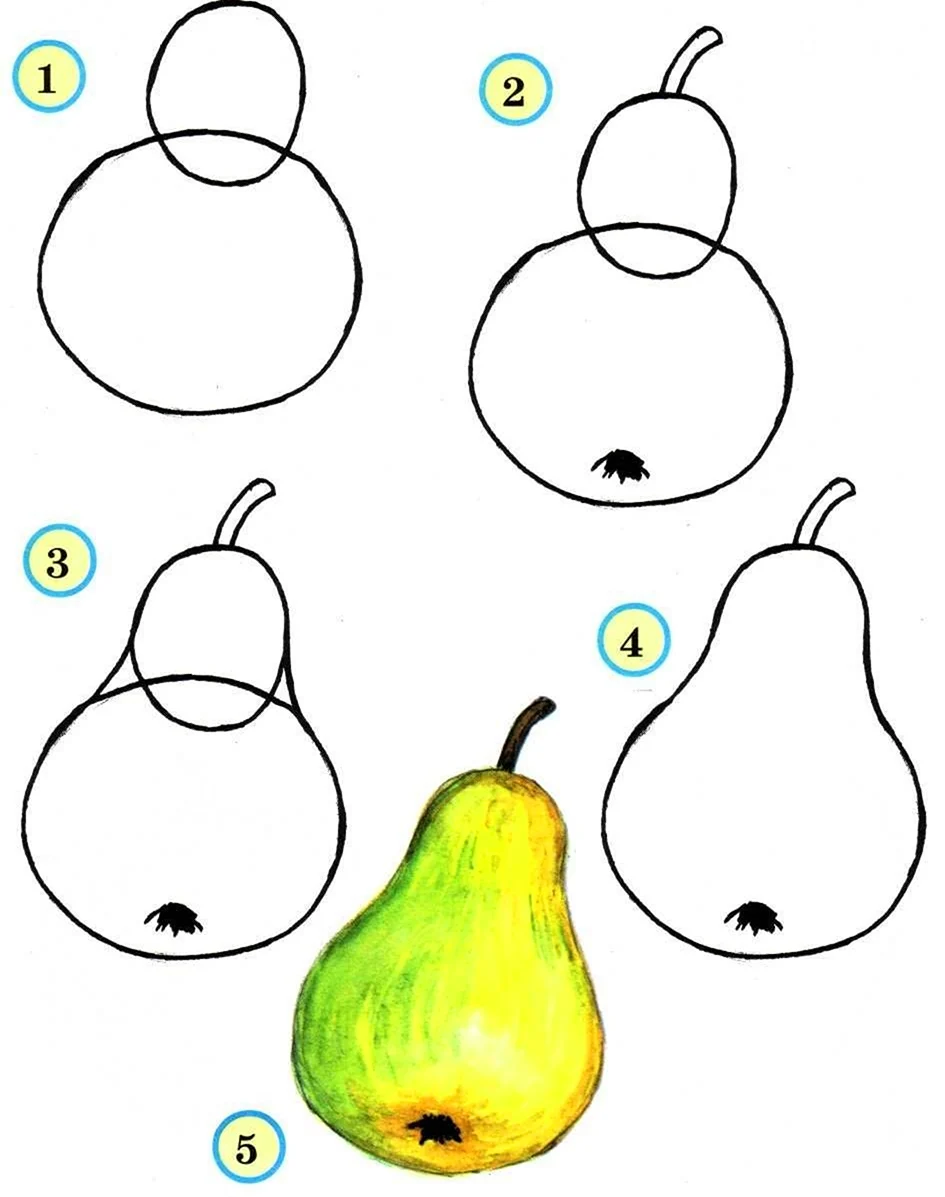 Поэтапное рисование фруктов. Для срисовки