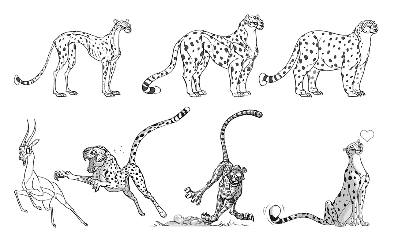 Поэтапное рисование гепарда. Для срисовки