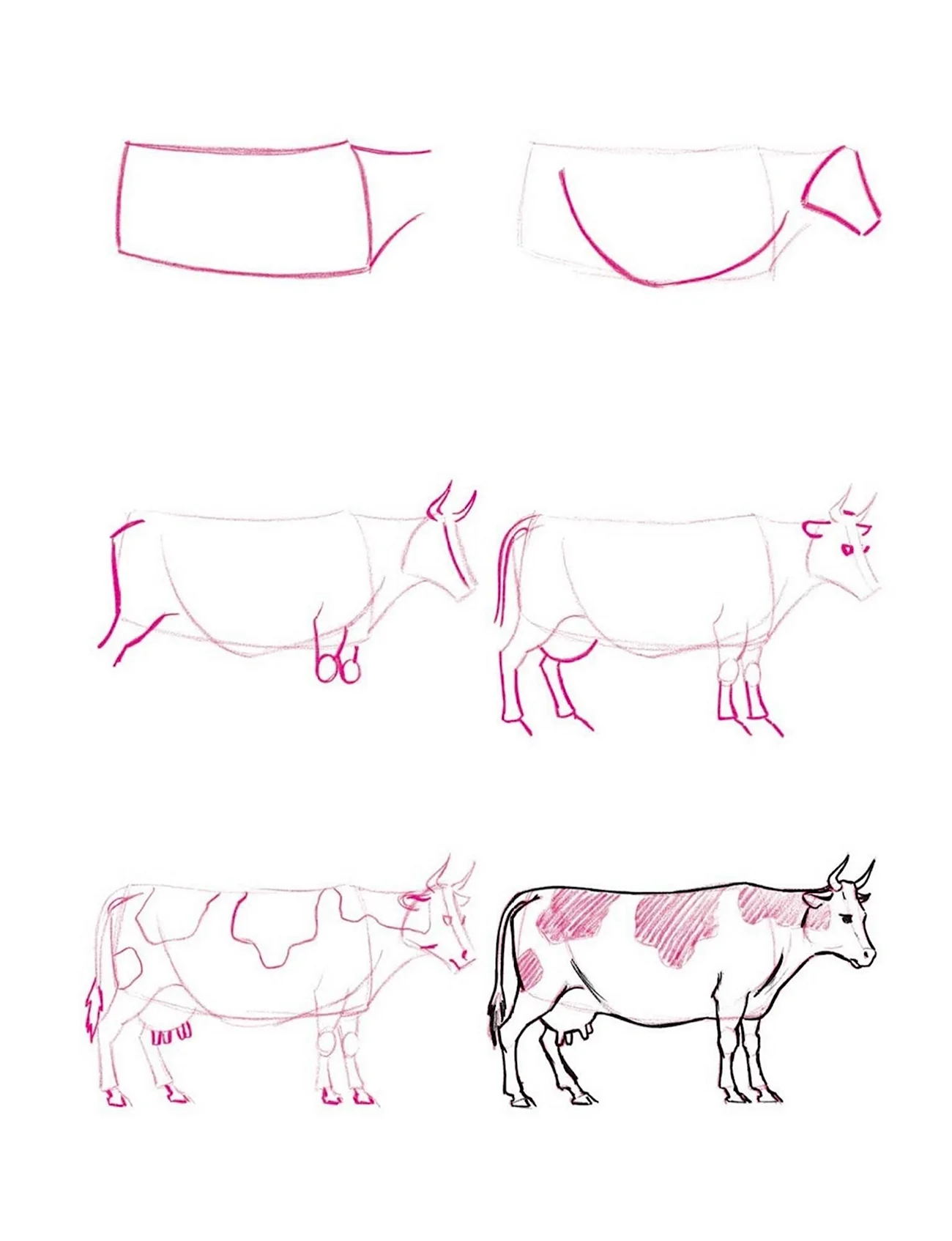 Поэтапное рисование коровы для детей. Для срисовки