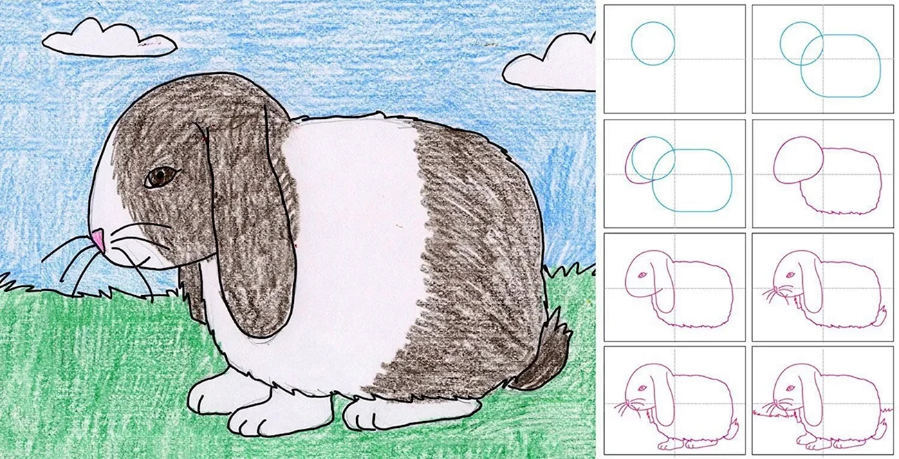 Поэтапное рисование кролика. Для срисовки