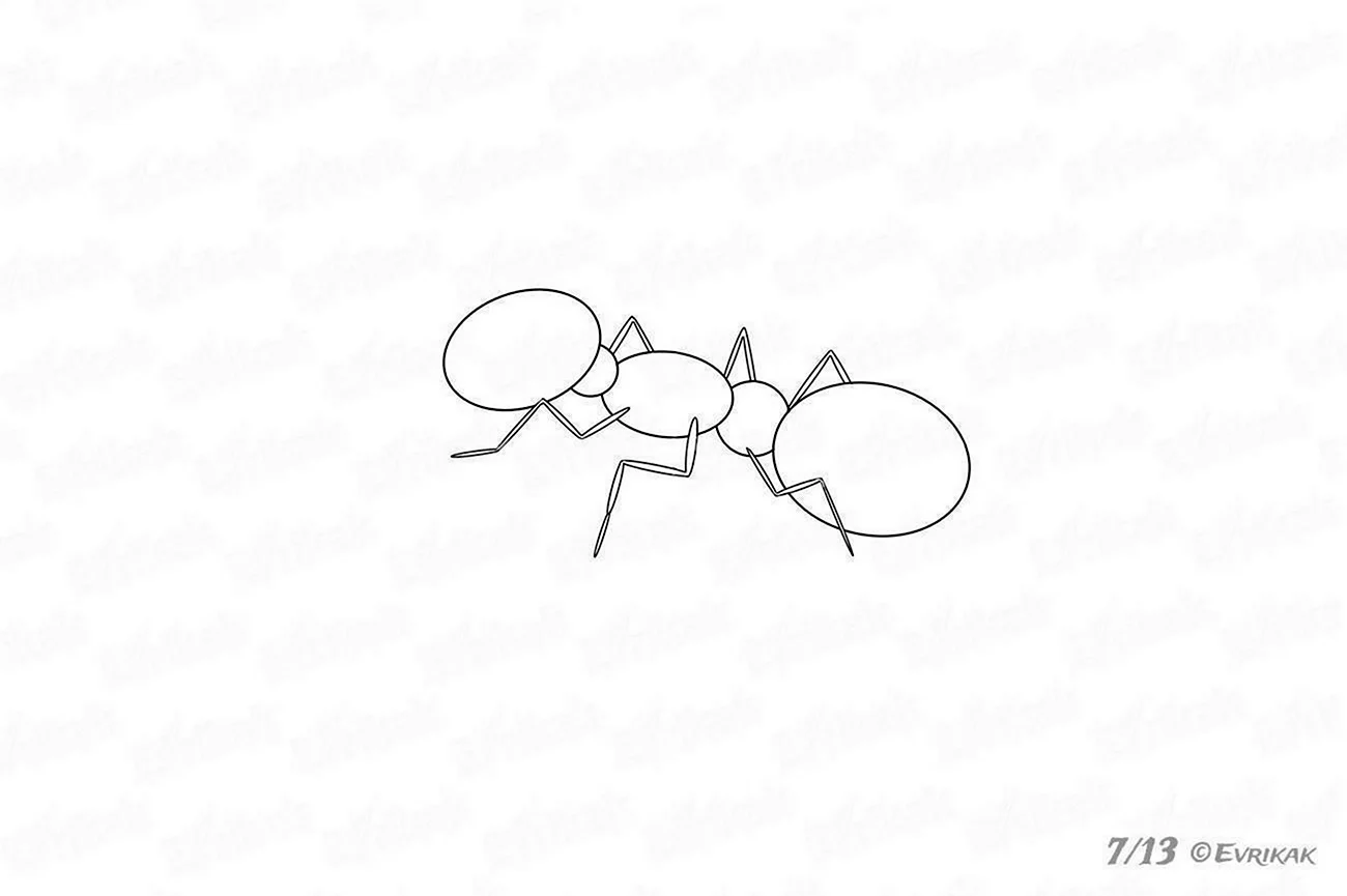 Поэтапное рисование муравья. Для срисовки