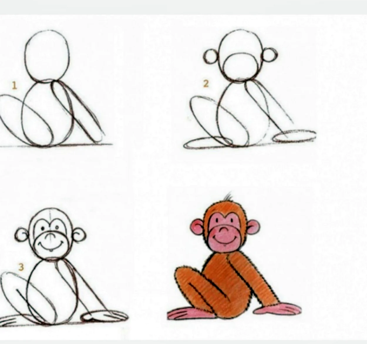 Поэтапное рисование обезьяны для детей. Для срисовки