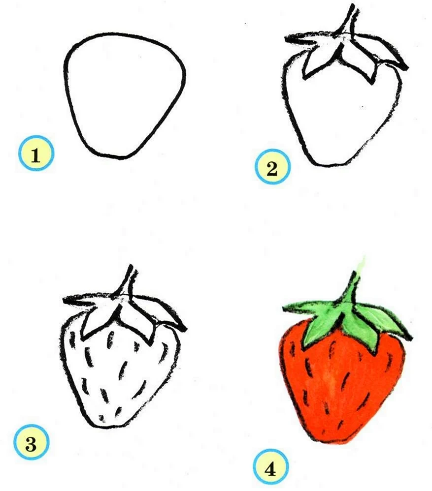 Поэтапное рисование овощей и фруктов. Для срисовки