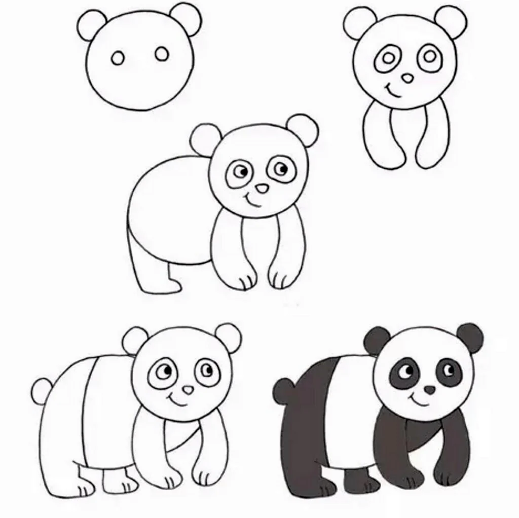 Поэтапное рисование панды. Для срисовки
