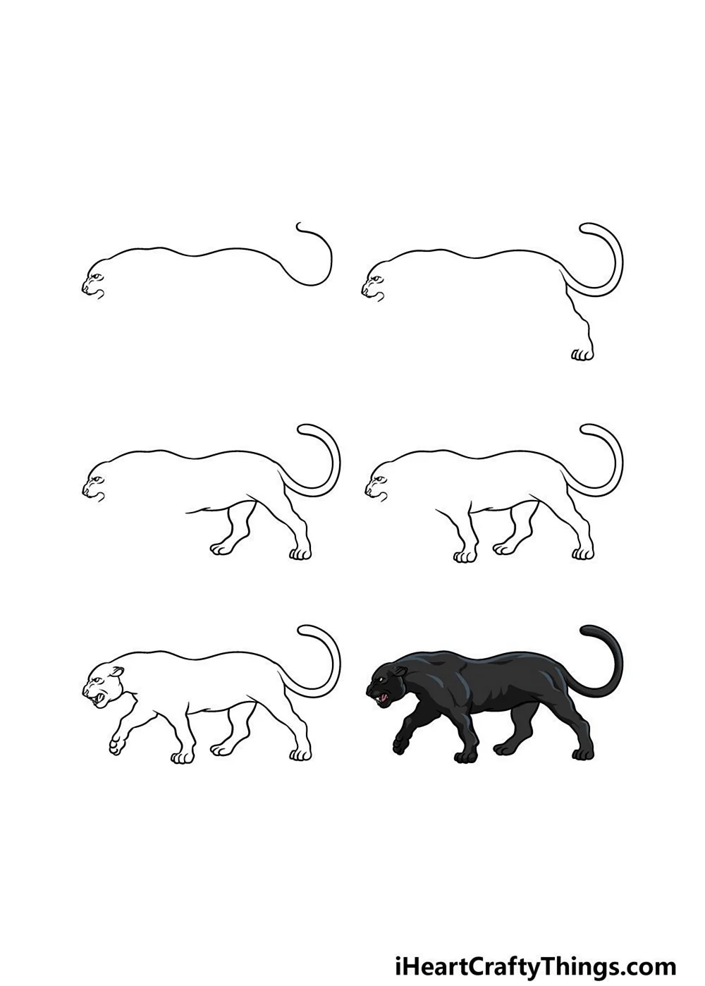Поэтапное рисование пантеры. Для срисовки