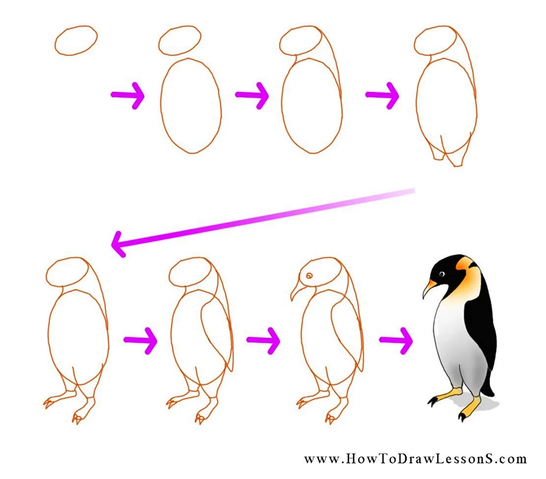 Поэтапное рисование пингвина. Для срисовки