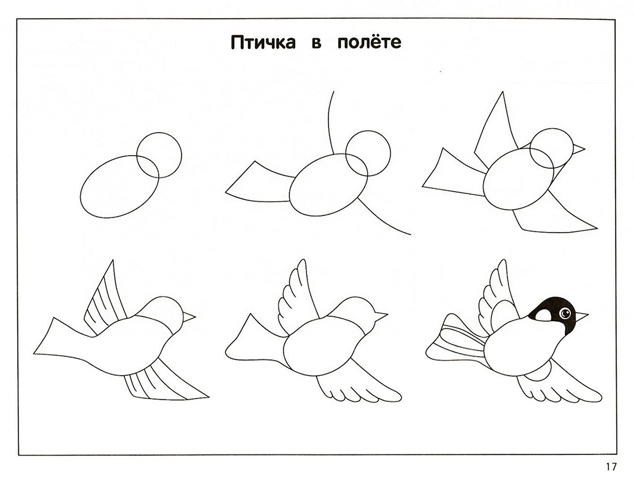 Поэтапное рисование птиц. Для срисовки