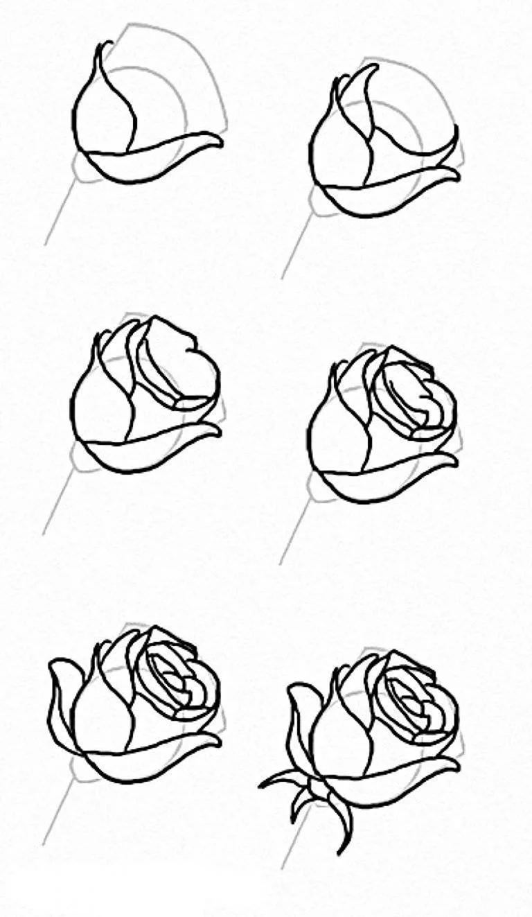 Поэтапное рисование розы карандашом. Для срисовки