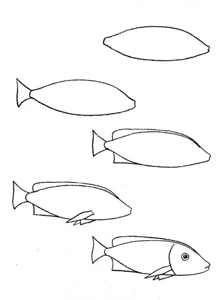 Поэтапное рисование рыбки. Для срисовки