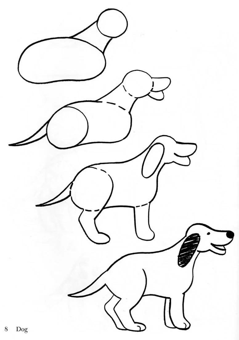 Поэтапное рисование собаки. Для срисовки