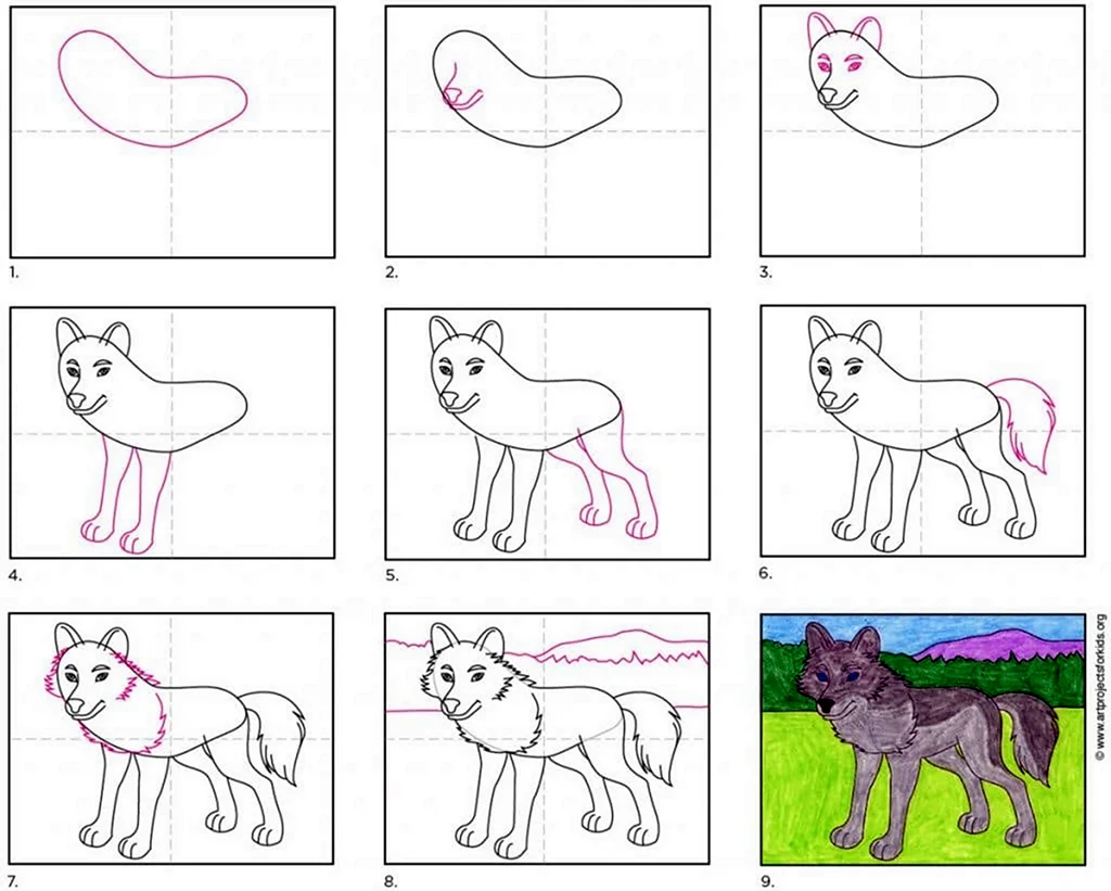 Поэтапное рисование волка для дошкольников. Для срисовки