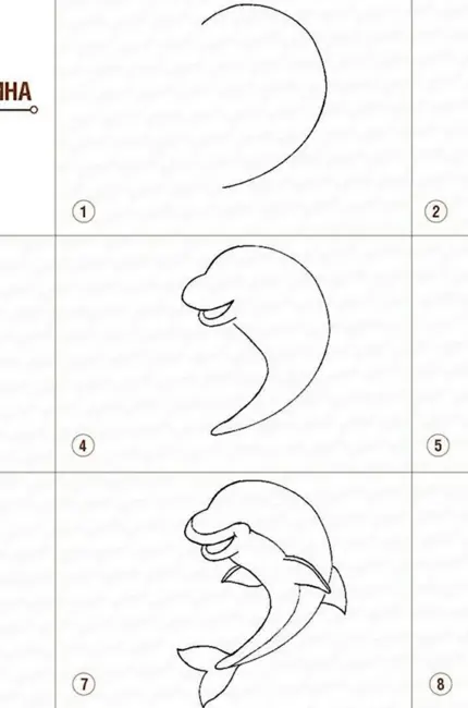 Поэтапный рисунок дельфина. Для срисовки