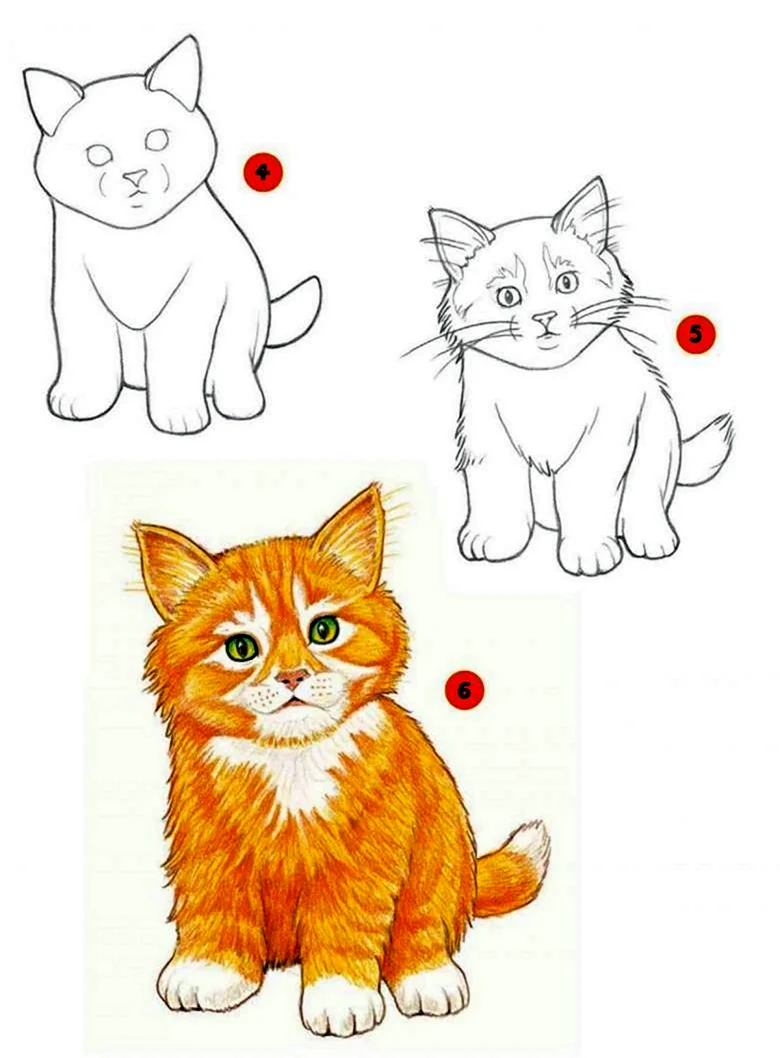 Поэтапный рисунок котенка для детей. Для срисовки