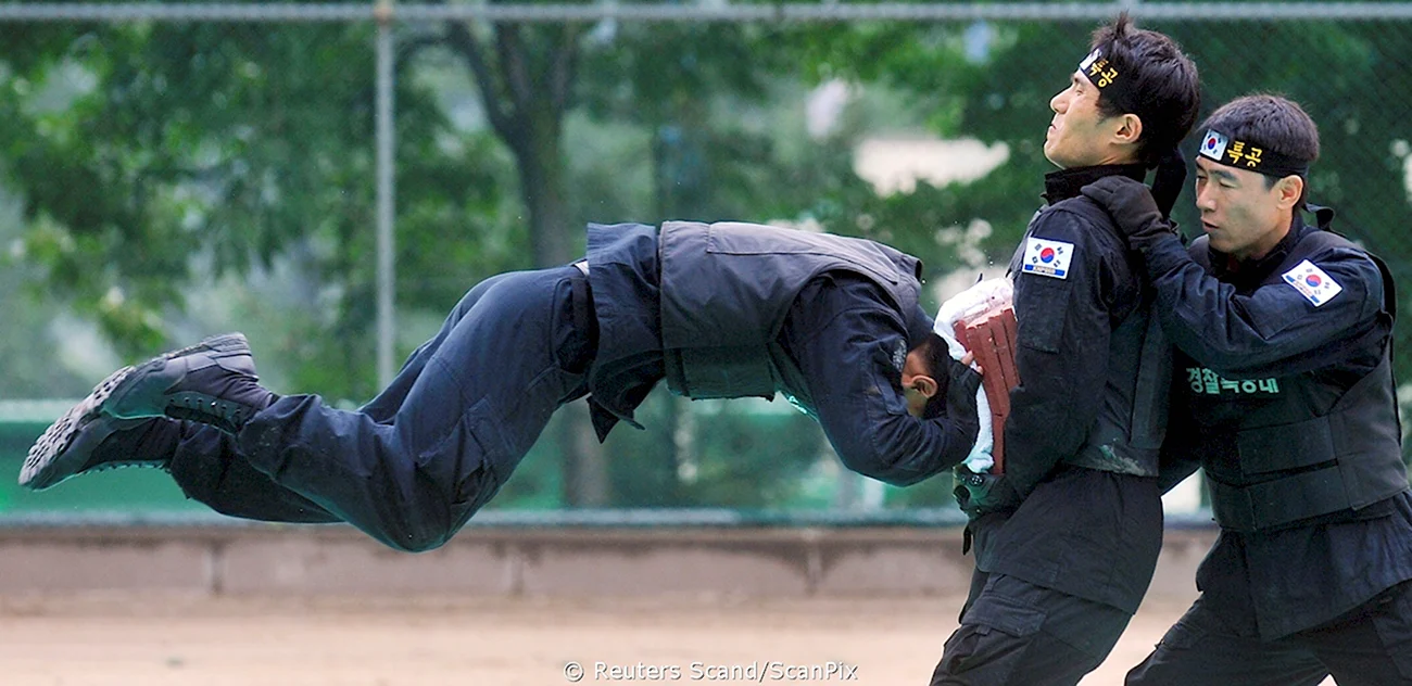 Полицейский спецназ Южной Кореи. Прикольная картинка