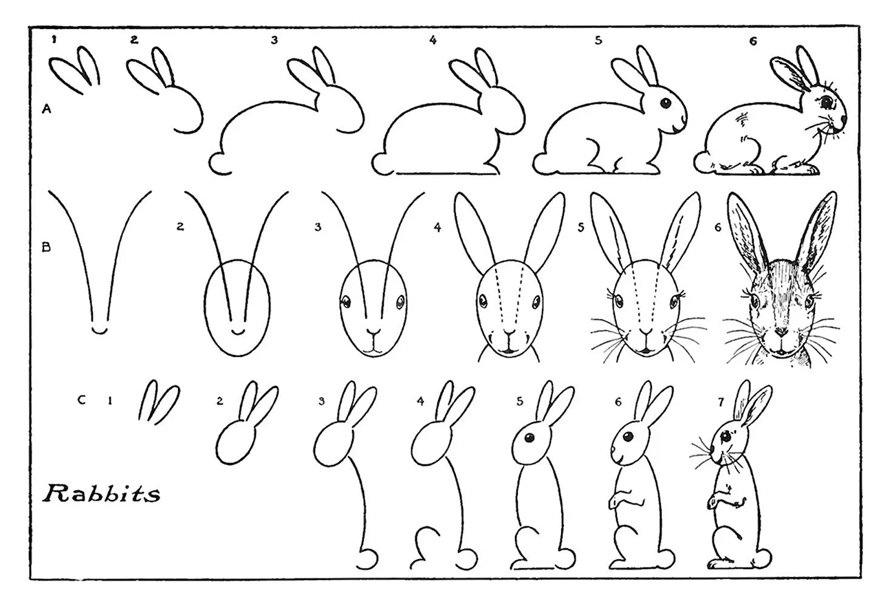 Пошаговое рисование зайца. Для срисовки