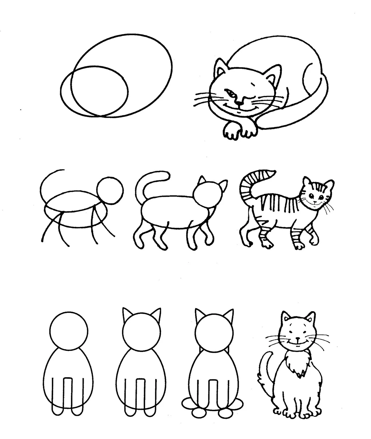 Последовательное рисование животных для детей. Для срисовки