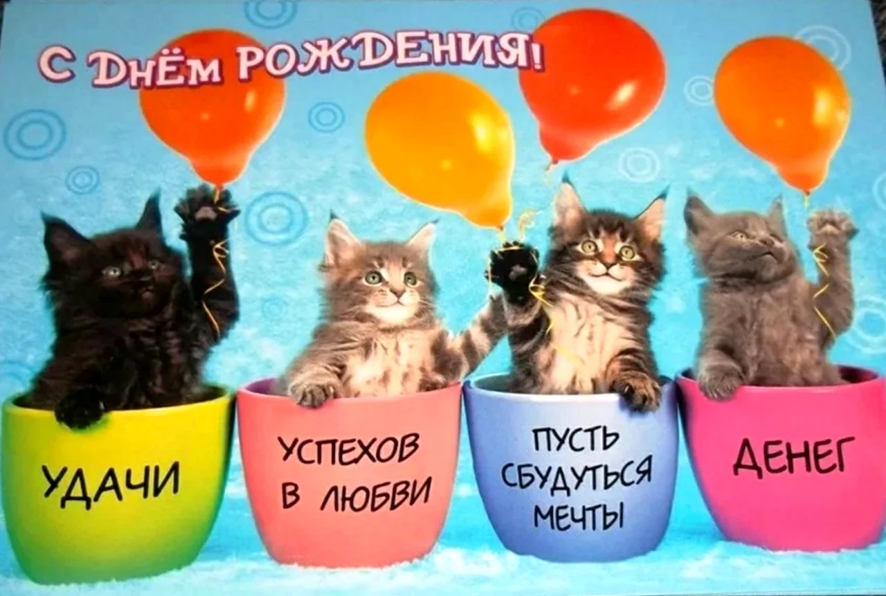 Поздравление с днем рождения коты. Картинка