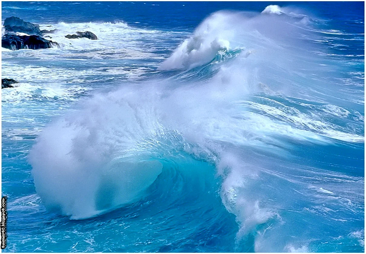 Праздник океана. Поздравление
