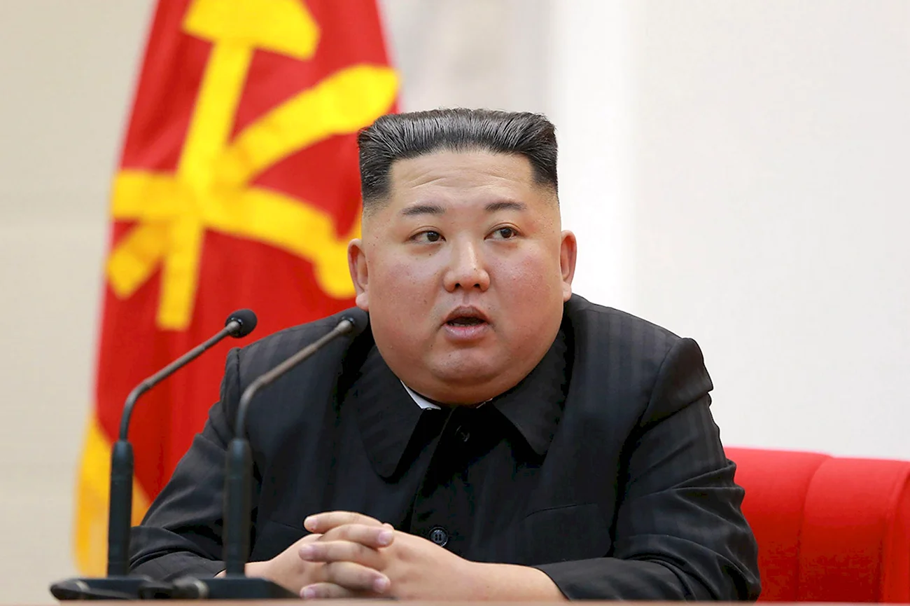 Президент Северной Кореи Ким Чен Ын. Прикольная картинка