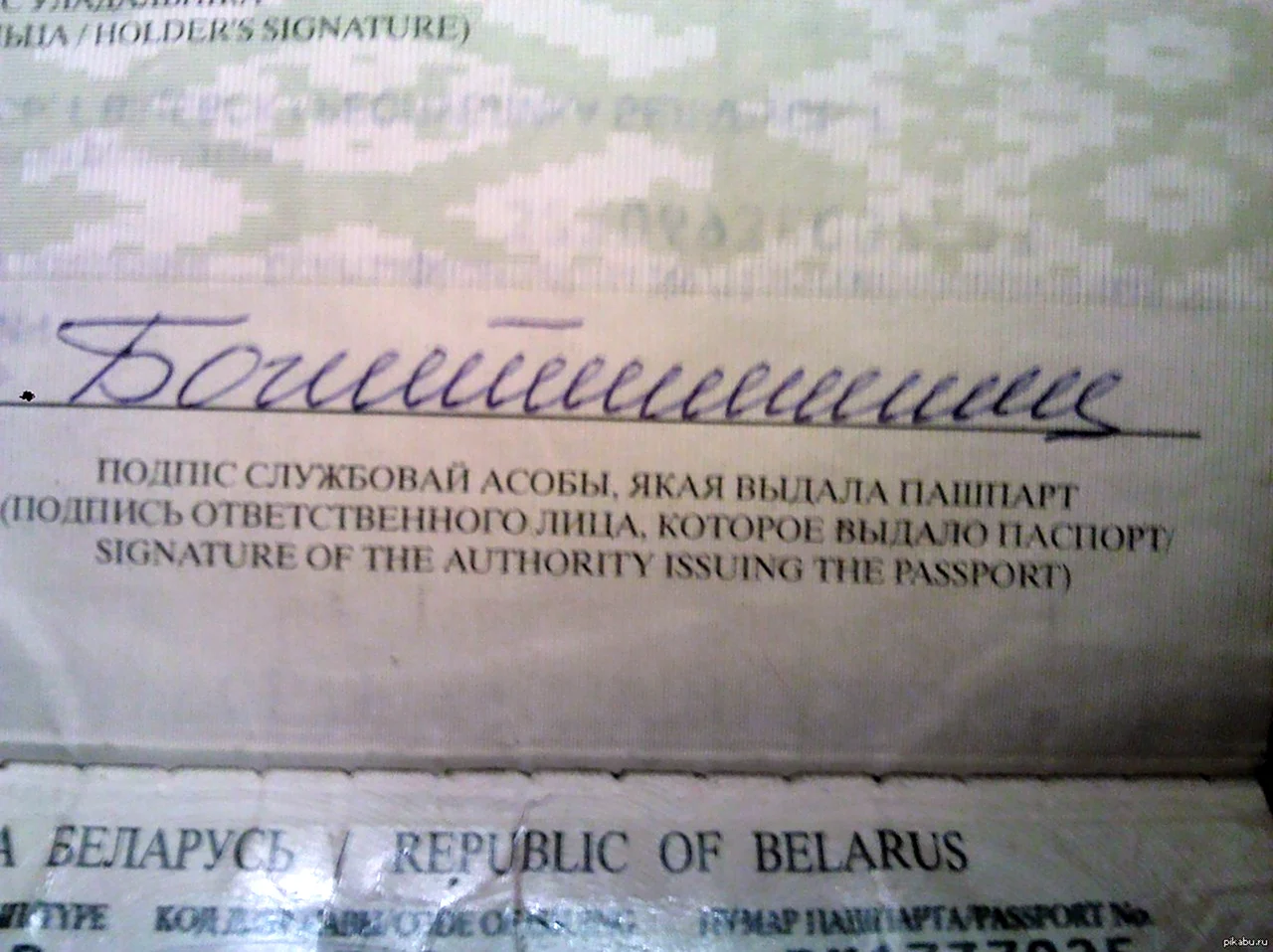 Прикольные подписи в паспорте. Картинка