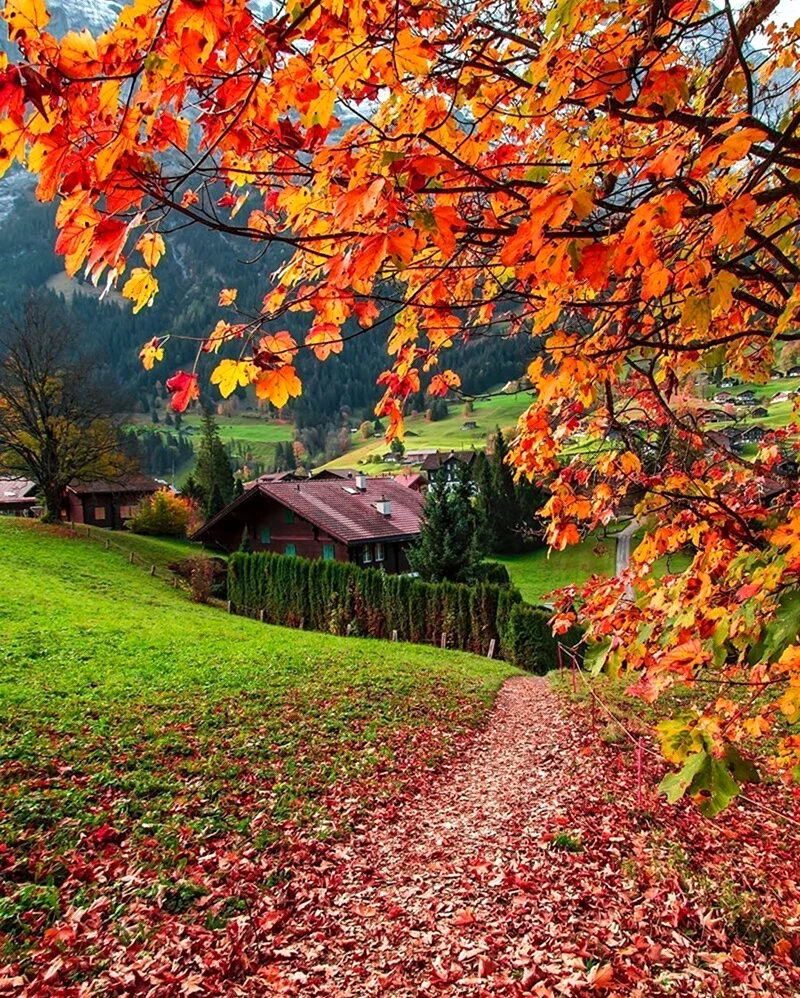 Природа осень. Красивая картинка
