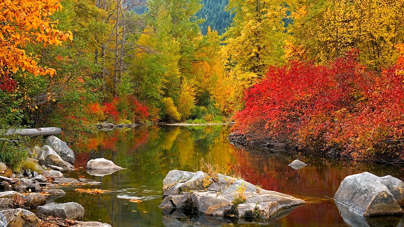 Природа осень. Красивая картинка