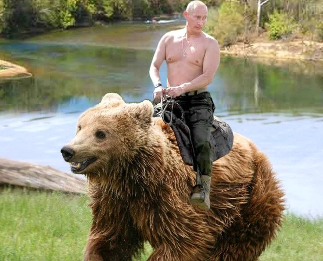 Путин Владимир Владимирович на медведе. Картинка