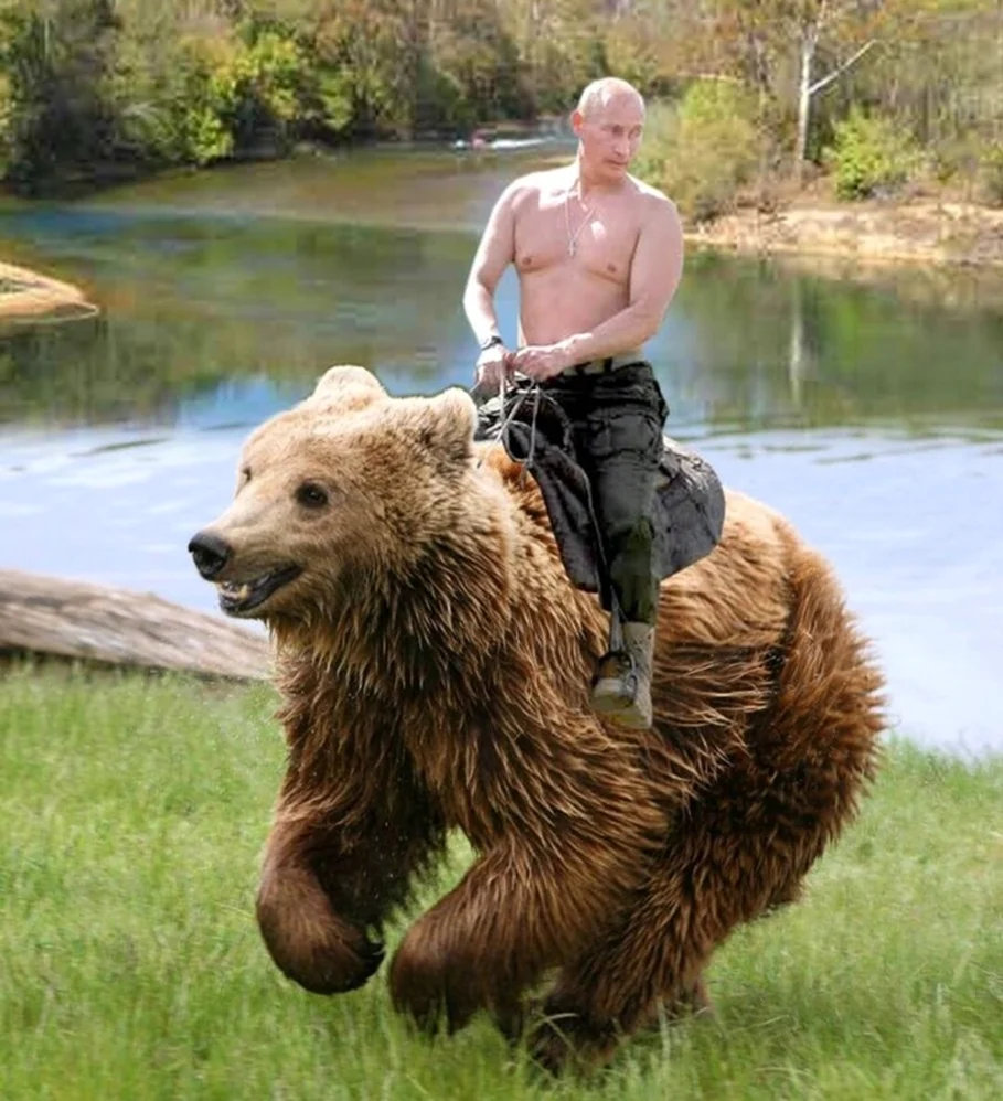 Путин Владимир Владимирович на медведе. Прикольная картинка