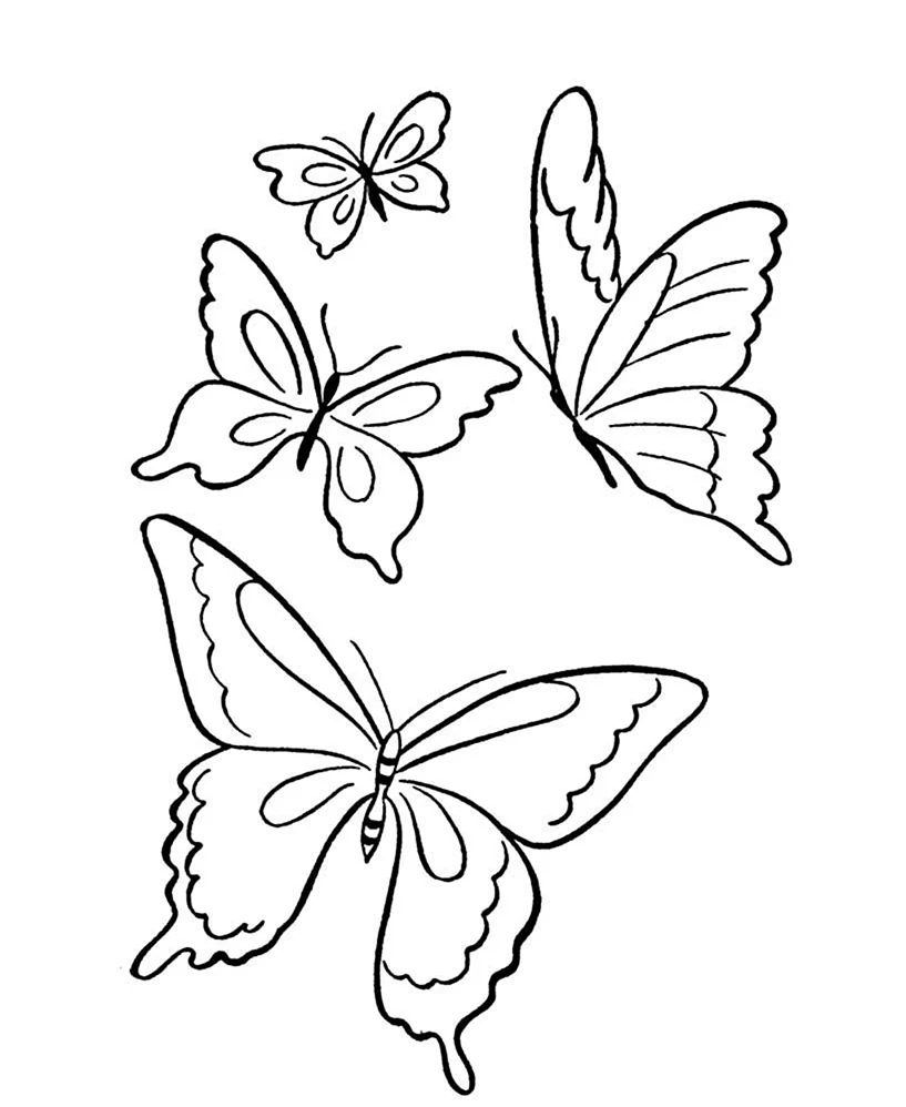 Раскраска бабочки. Своими руками