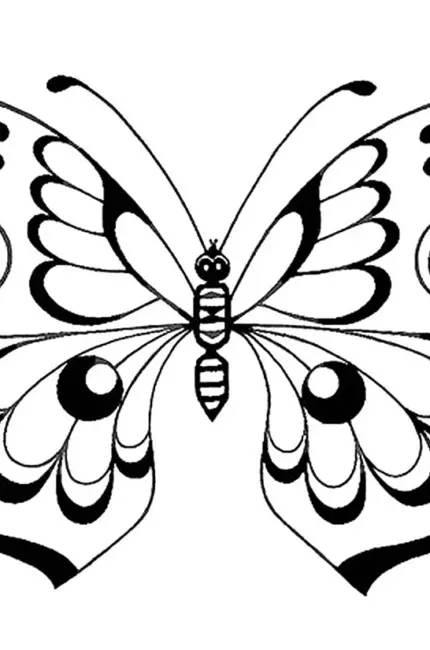 Раскраска бабочки. Картинка