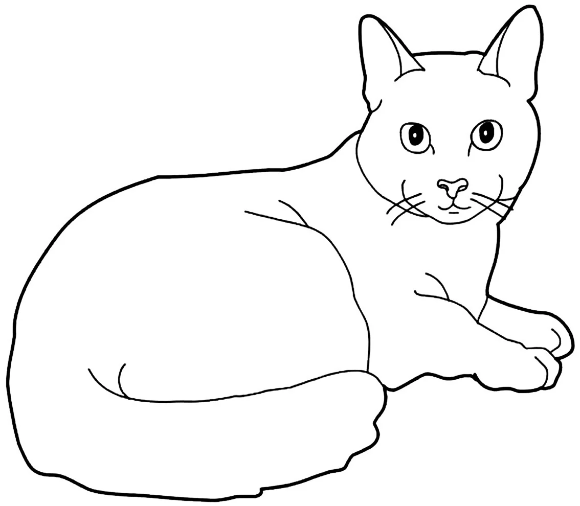 Раскраска домашняя кошка. Для срисовки